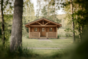 chalet-bois-foret-porche